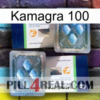 Kamagra 100 viagra5